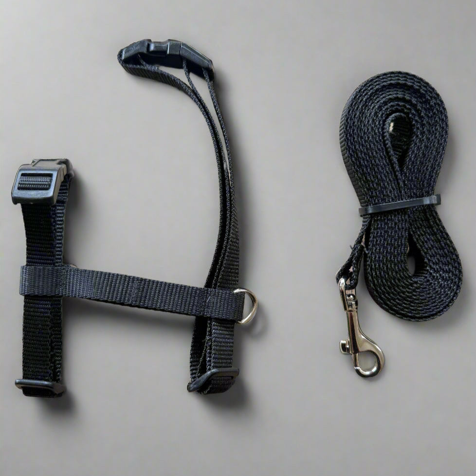 Single H style harness with welded d-ring, wide webbing, strong buckles and stitching , made in Canada 🇨🇦 considered one of the best brands in the world! 🇨🇦 considered one of the best brands in the world! Shown here in black also available in light blue, royal blue, purple, red and our favourite hot pink. Shown here with matching 10' tie-out.