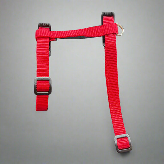 Single H style harness with welded d-ring, wide webbing, strong buckles and stitching , made in Canada 🇨🇦 considered one of the best brands in the world! Shown here in red also available in light blue, royal blue, purple, black and our favourite hot pink.