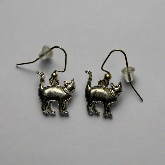 staff favourite, silver cat, full body and see from the side, tail up, cute ears