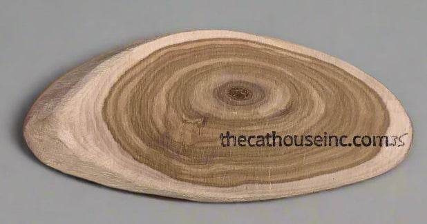 slice of honeysuckle wood, 35g, about 4.5" long and 1/2" thick