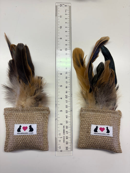 Honeysuckle Catnip Burlap Feather Square