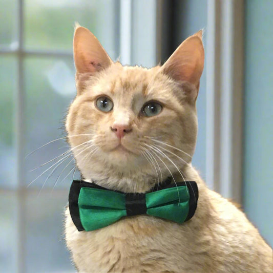 super cute! orange cat with green bow tie, available in light blue, navy, green, forest green and purple.