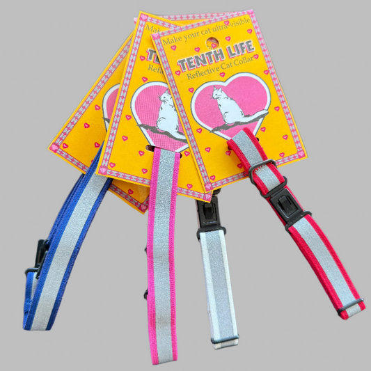 blue, pink, white or red with reflective band, lightweight cat collar fits 6" - 13", comforatable, durable