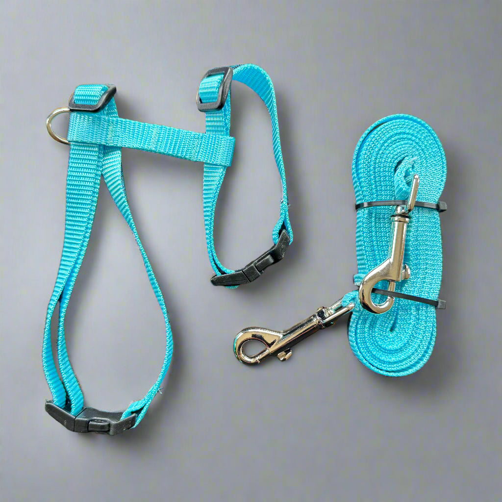 Single H style harness with welded d-ring, wide webbing, strong buckles and stitching , made in Canada 🇨🇦 considered one of the best brands in the world! Shown here in light blue, one of our favourite colours, and also available in red, royal blue, purple, black and another of our favourite colours,  hot pink. Available with matching 10' tie out, sold separately.