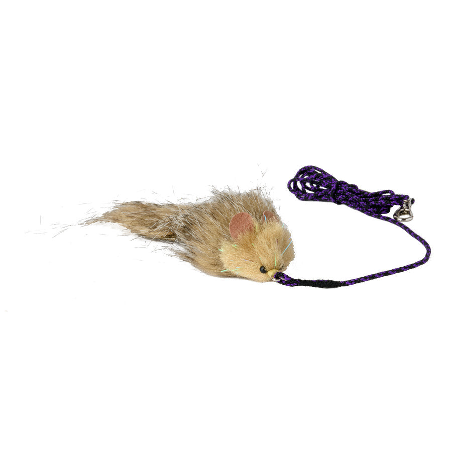 Attachment – Pet Ki Wily Mouse