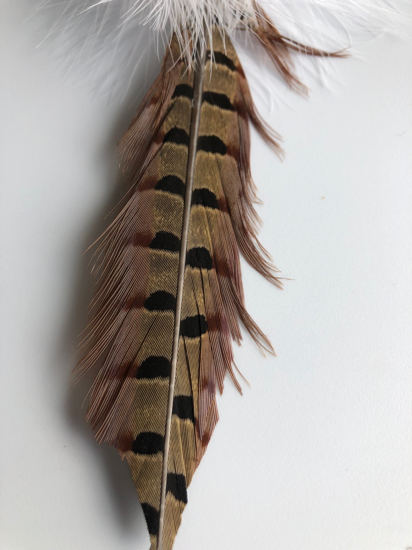closeup of handmade pheasant feather attachment for wand or fishing rod, approx. 8"