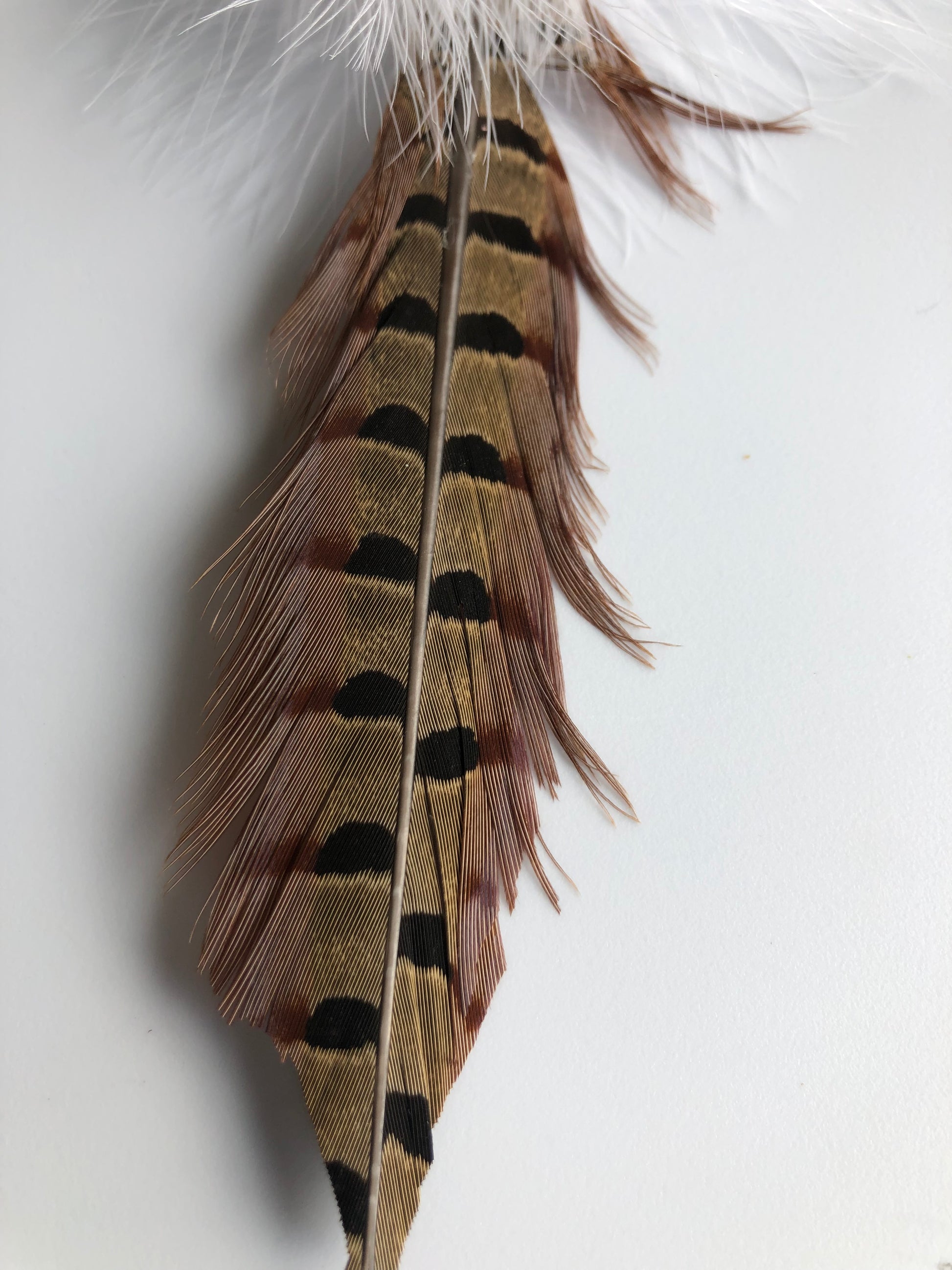 closeup of handmade pheasant feather attachment for wand or fishing rod, approx. 8"