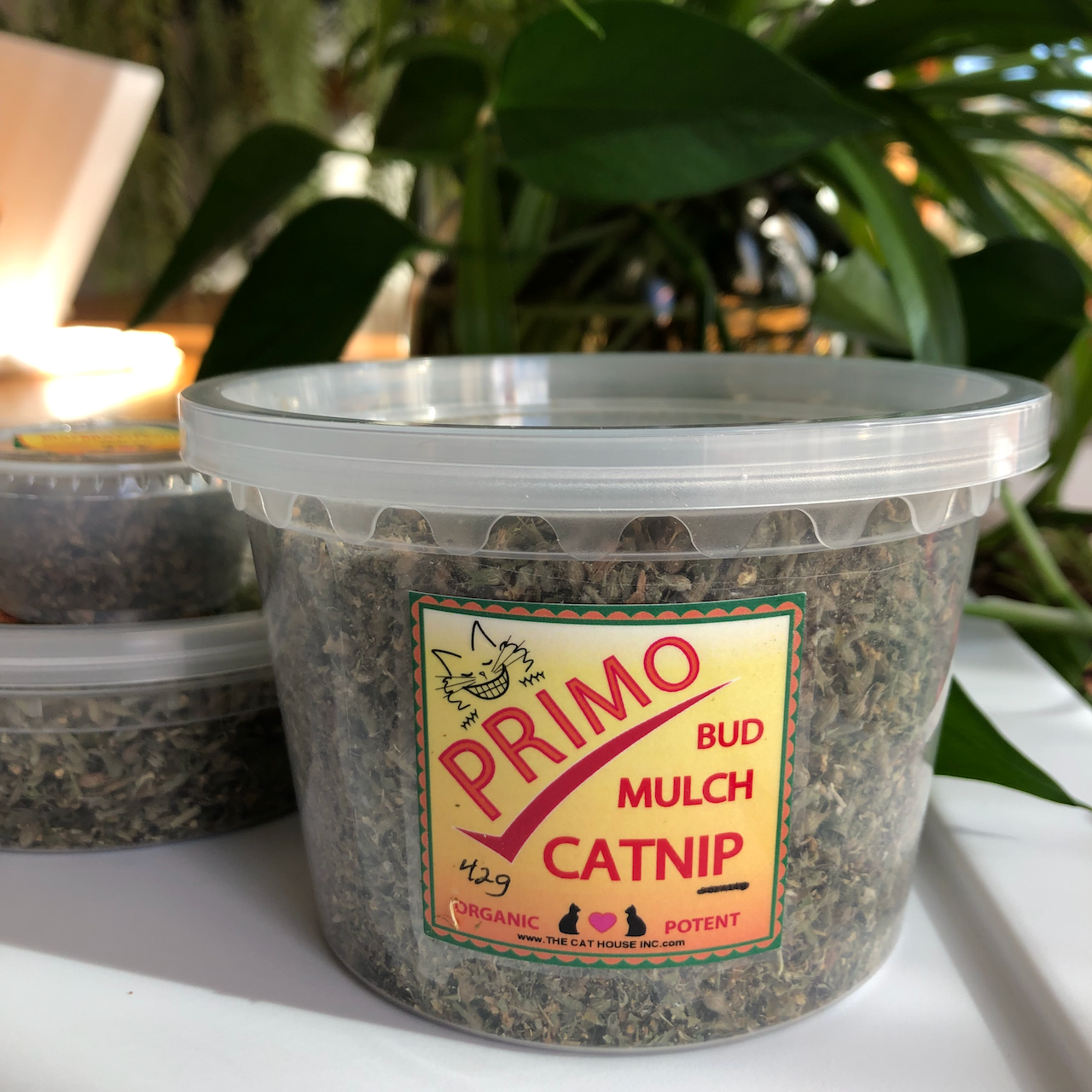 42g medium size plastic tub of Primo organic high potency catnip, shows small and trial size in the background for comparison