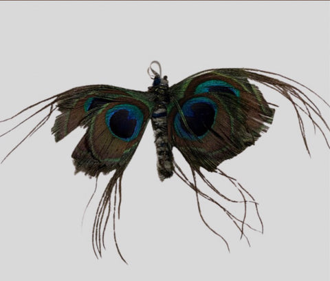 Kitty Bait Peacock Butterfly