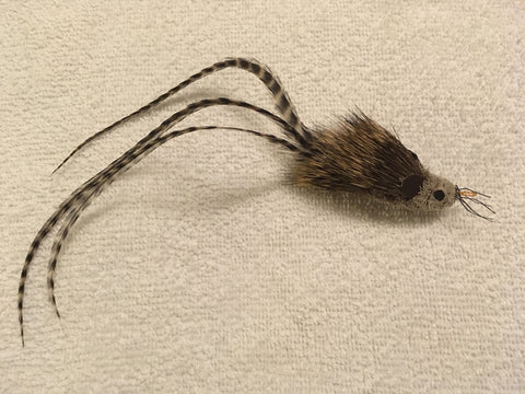 long haired, long feather tail mouse